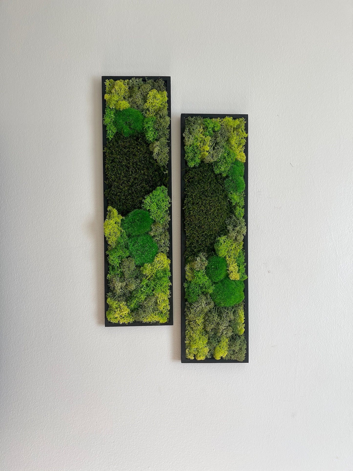 Framed Reindeer Moss Wall Art: Rectangle Panel Set | USA - TARIFF FREE