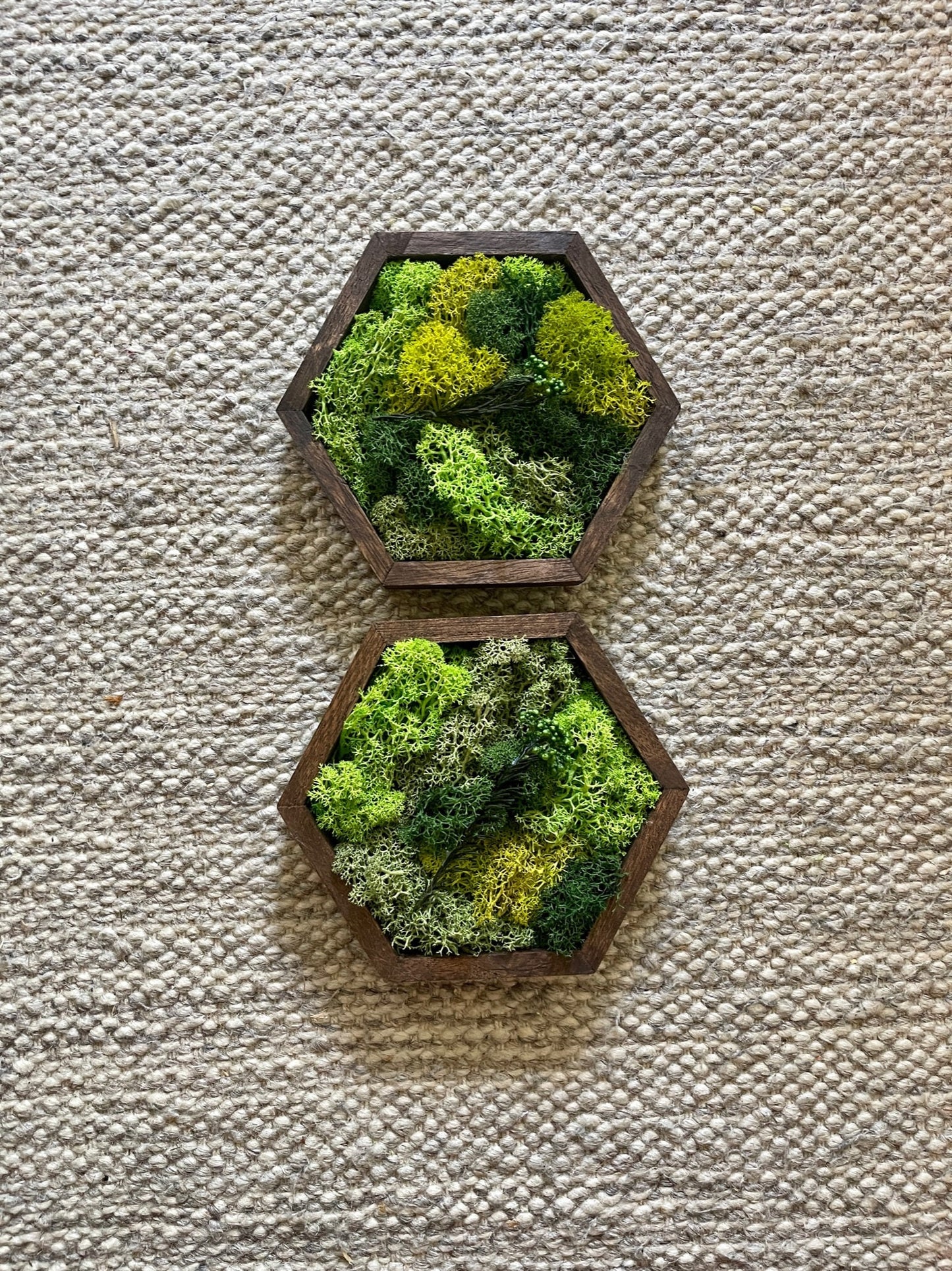 Honeycomb Moss Wall Art: Preserved Reindeer Moss, Wood Hexagon | USA - TARIFF FREE