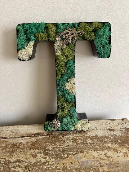 Preserved Moss Wall Letter: Custom Reindeer Moss Art | USA - TARIFF FREE