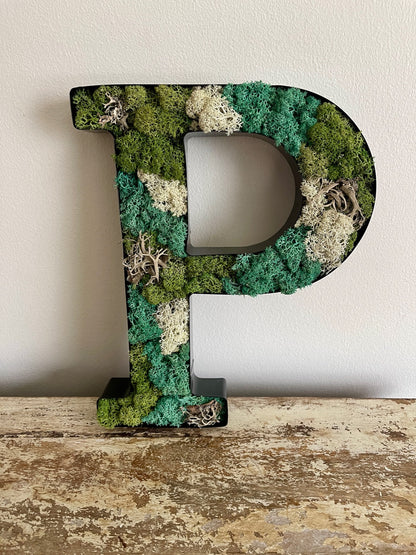 Preserved Moss Wall Letter: Custom Reindeer Moss Art | USA - TARIFF FREE