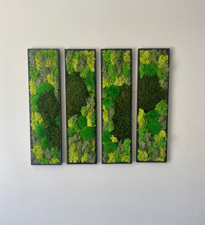 Framed Reindeer Moss Wall Art: Rectangle Panel Set | USA - TARIFF FREE