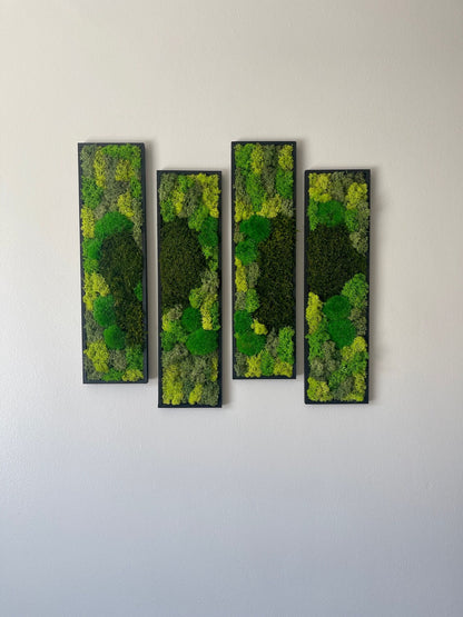Framed Reindeer Moss Wall Art: Rectangle Panel Set | USA - TARIFF FREE