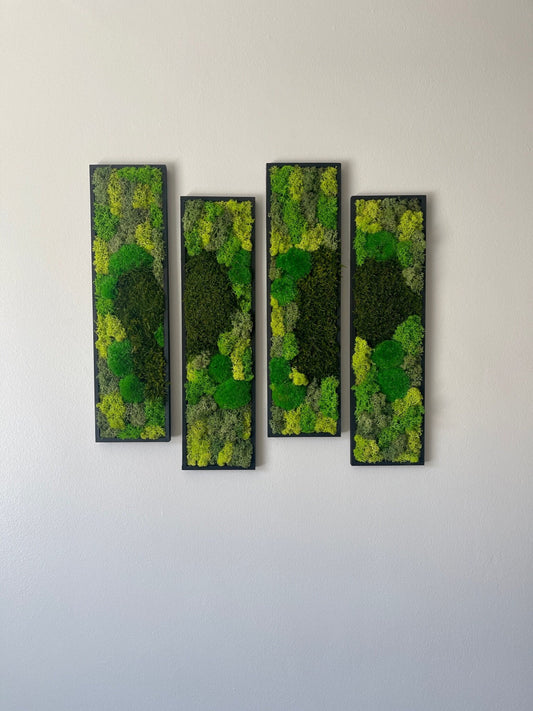 Framed Reindeer Moss Wall Art: Rectangle Panel Set | USA - TARIFF FREE
