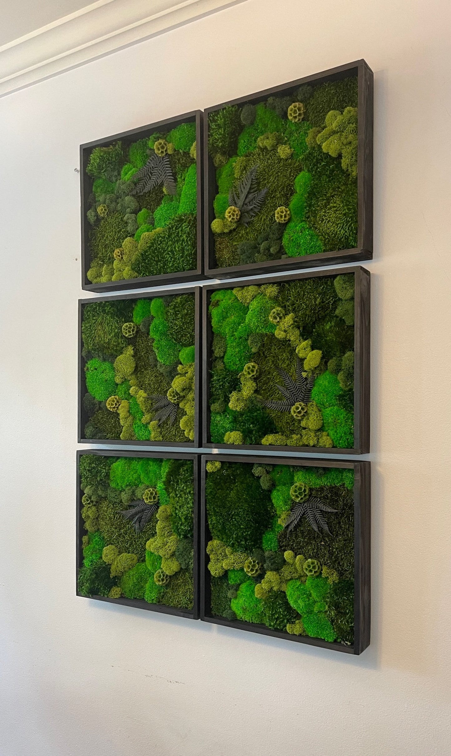 Preserved Reindeer Moss Wall Art: 12" Wood Frame, Ethically Sourced | USA - TARIFF FREE