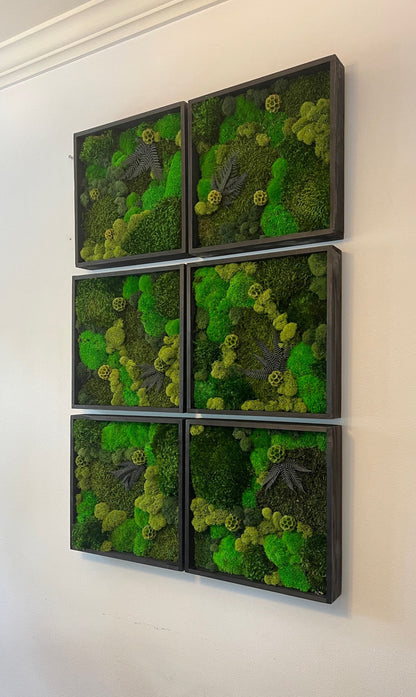 Preserved Reindeer Moss Wall Art: 12" Wood Frame, Ethically Sourced | USA - TARIFF FREE