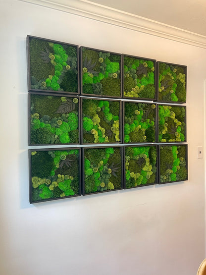 Preserved Reindeer Moss Wall Art: 12" Wood Frame, Ethically Sourced | USA - TARIFF FREE