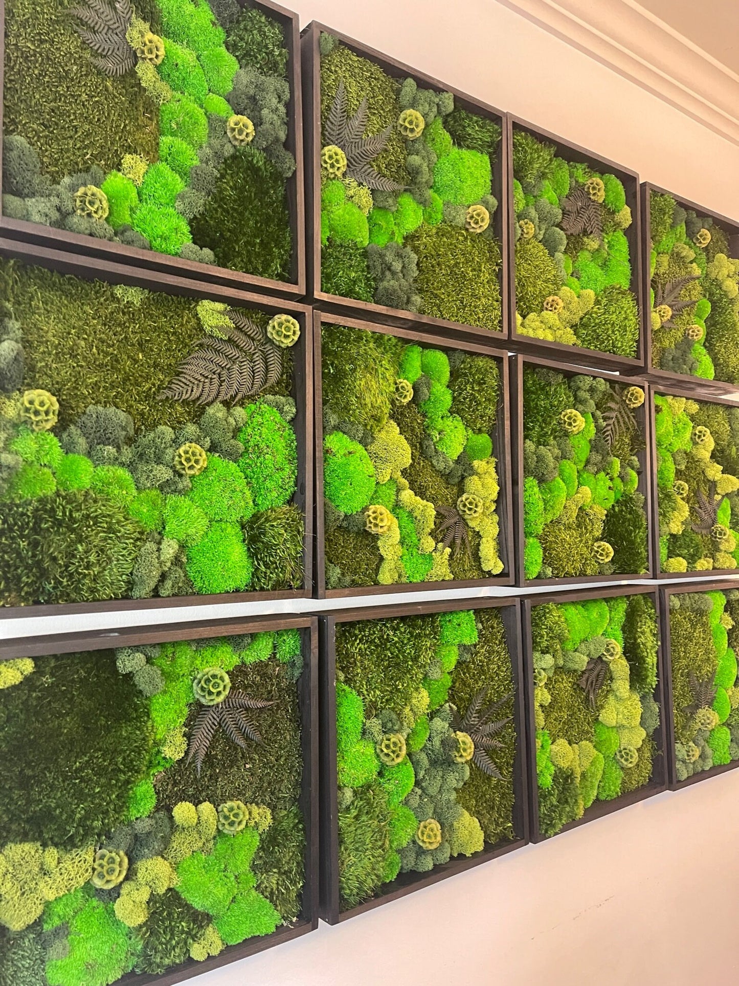 Preserved Reindeer Moss Wall Art: 12" Wood Frame, Ethically Sourced | USA - TARIFF FREE
