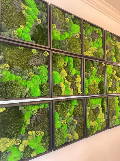 Preserved Reindeer Moss Wall Art: 12" Wood Frame, Ethically Sourced | USA - TARIFF FREE