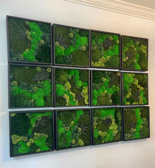 Moss Wall Art | Moss Decor | Single to Set of Twelve | Wood Square Frame | Preserved Moss | Green | Father's Day | 12” x 12” Frames