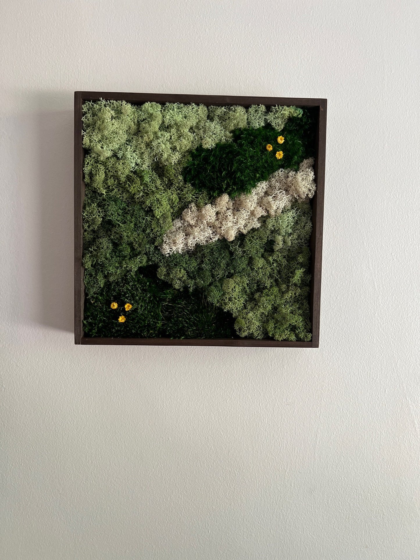 Moss Wall Art | Preserved Moss Framed | Moss Wall Decor | Square Frame | Mood Moss with Preserved Flowers, Reindeer Moss