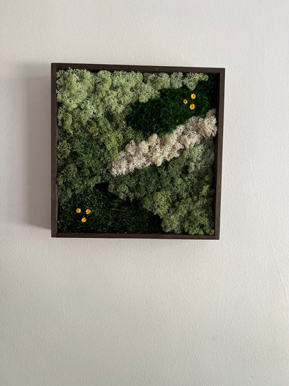 Moss Wall Art | Preserved Moss Framed | Moss Wall Decor | Square Frame | Mood Moss with Preserved Flowers, Reindeer Moss