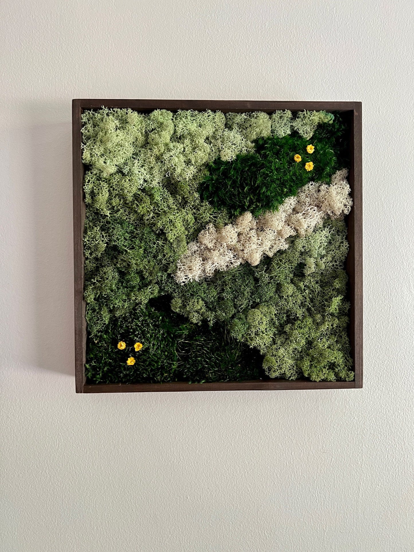 Preserved Moss Wall Art: Square Frame with Reindeer Moss & Flowers | USA - TARIFF FREE