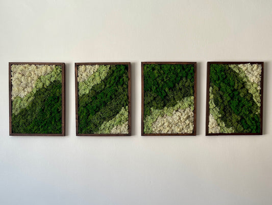 Moss Wall Art | Reindeer Moss Wall Decor | Moss Wall Art | Set of 1 - 4 | Rectangle Wood Frame | Canopy and Dark Green, Mint and White