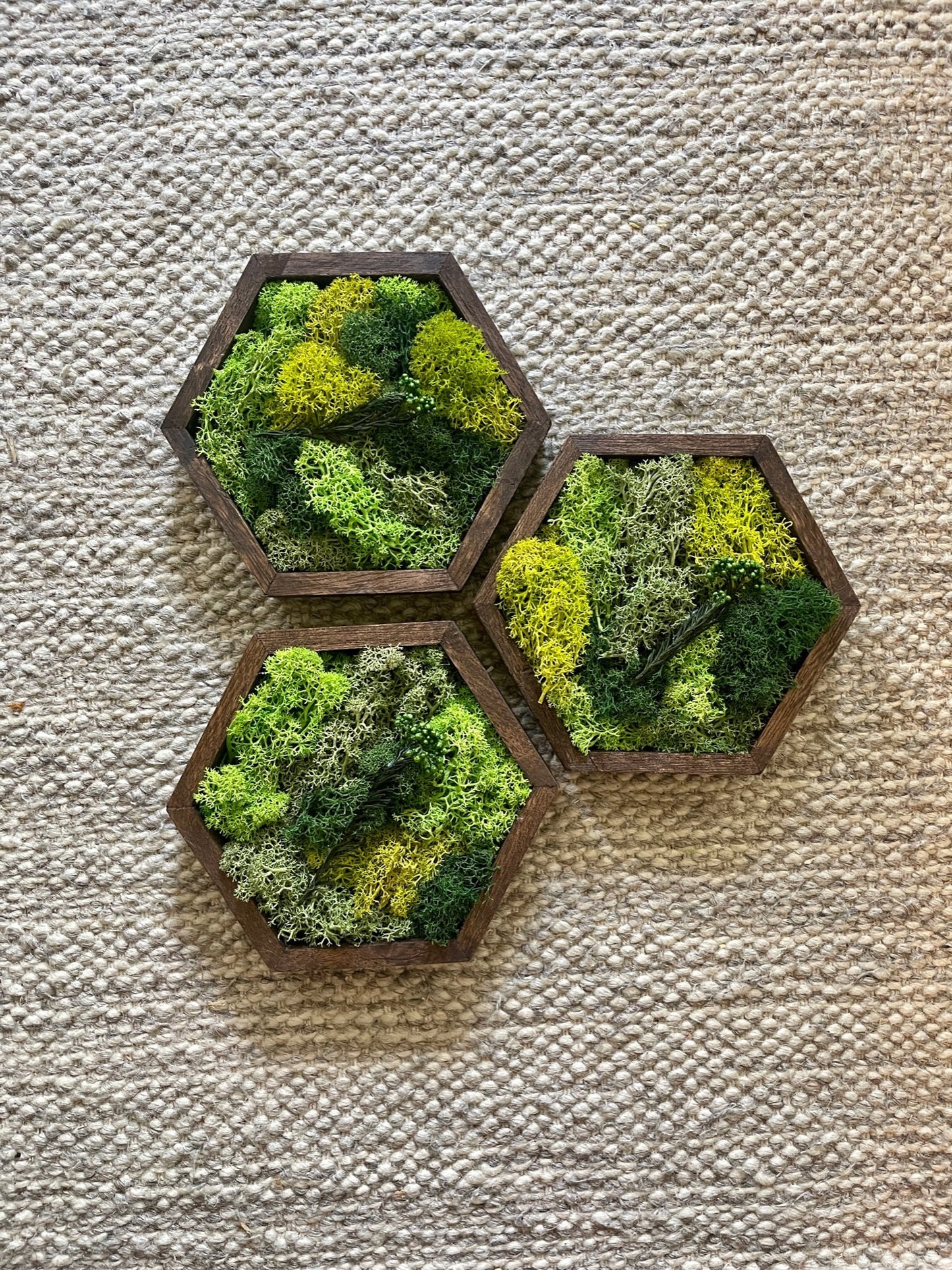 Honeycomb Moss Wall Art: Preserved Reindeer Moss, Wood Hexagon | USA - TARIFF FREE