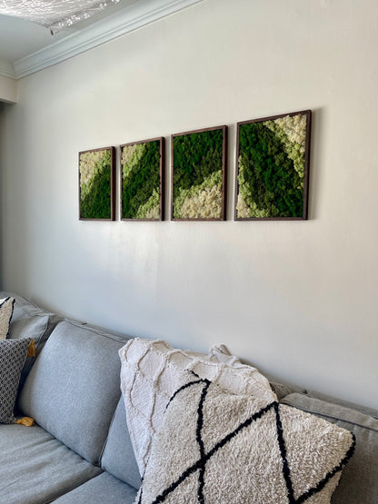 Moss Wall Art | Reindeer Moss Wall Decor | Moss Wall Art | Set of 1 - 4 | Rectangle Wood Frame | Canopy and Dark Green, Mint and White