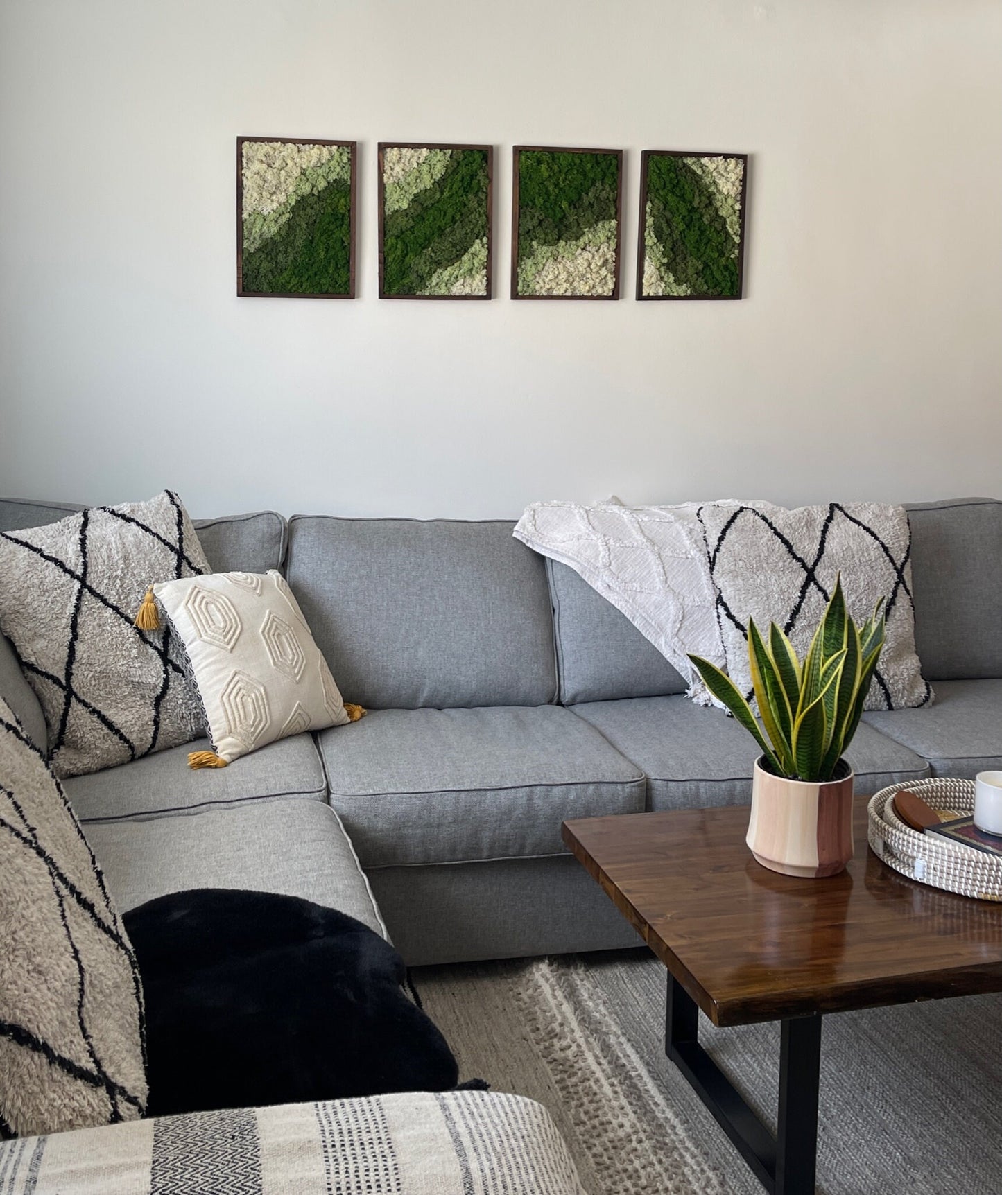 Reindeer Moss Wall Art: Rectangle Wood Frame, Preserved Moss Decor | USA - TARIFF FREE