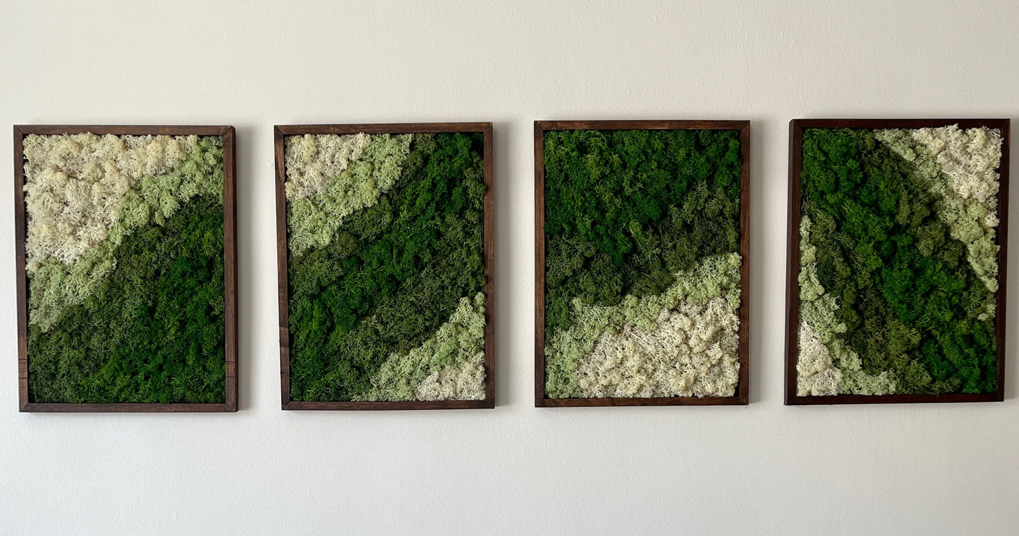 Reindeer Moss Wall Art: Rectangle Wood Frame, Preserved Moss Decor | USA - TARIFF FREE