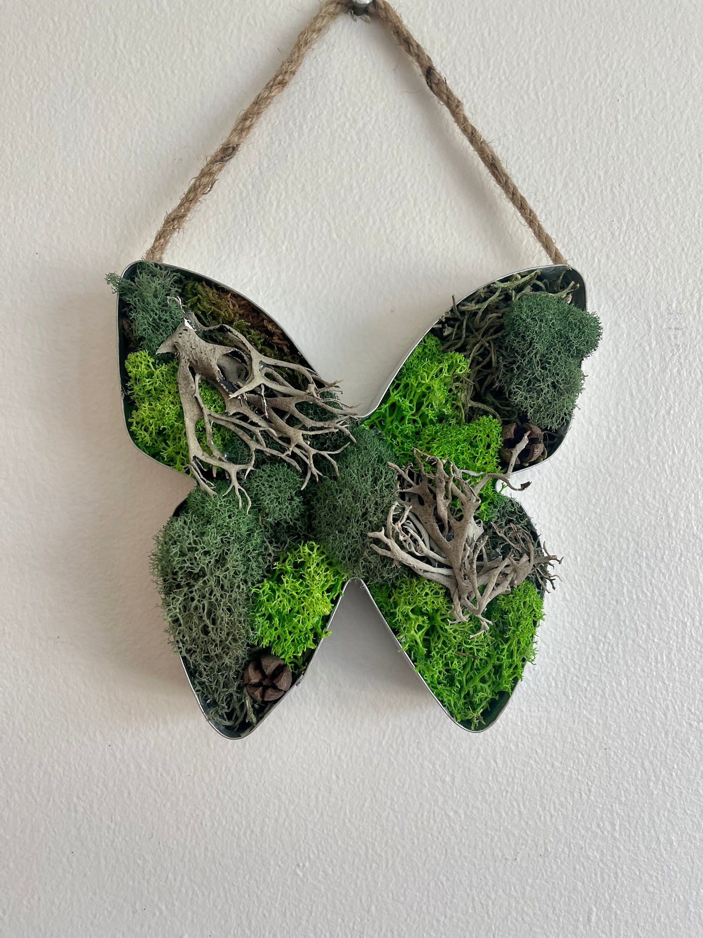Butterfly Moss Wall Art: Preserved Reindeer Moss Decor | USA - TARIFF FREE