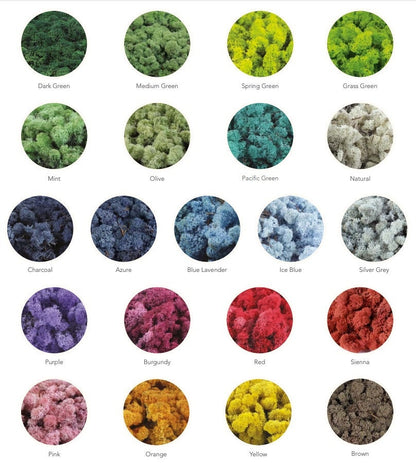 Heart Moss  | Wall Art  |  Home  Decor  | Metal Heart  | Green | USA - TARIFF FREE