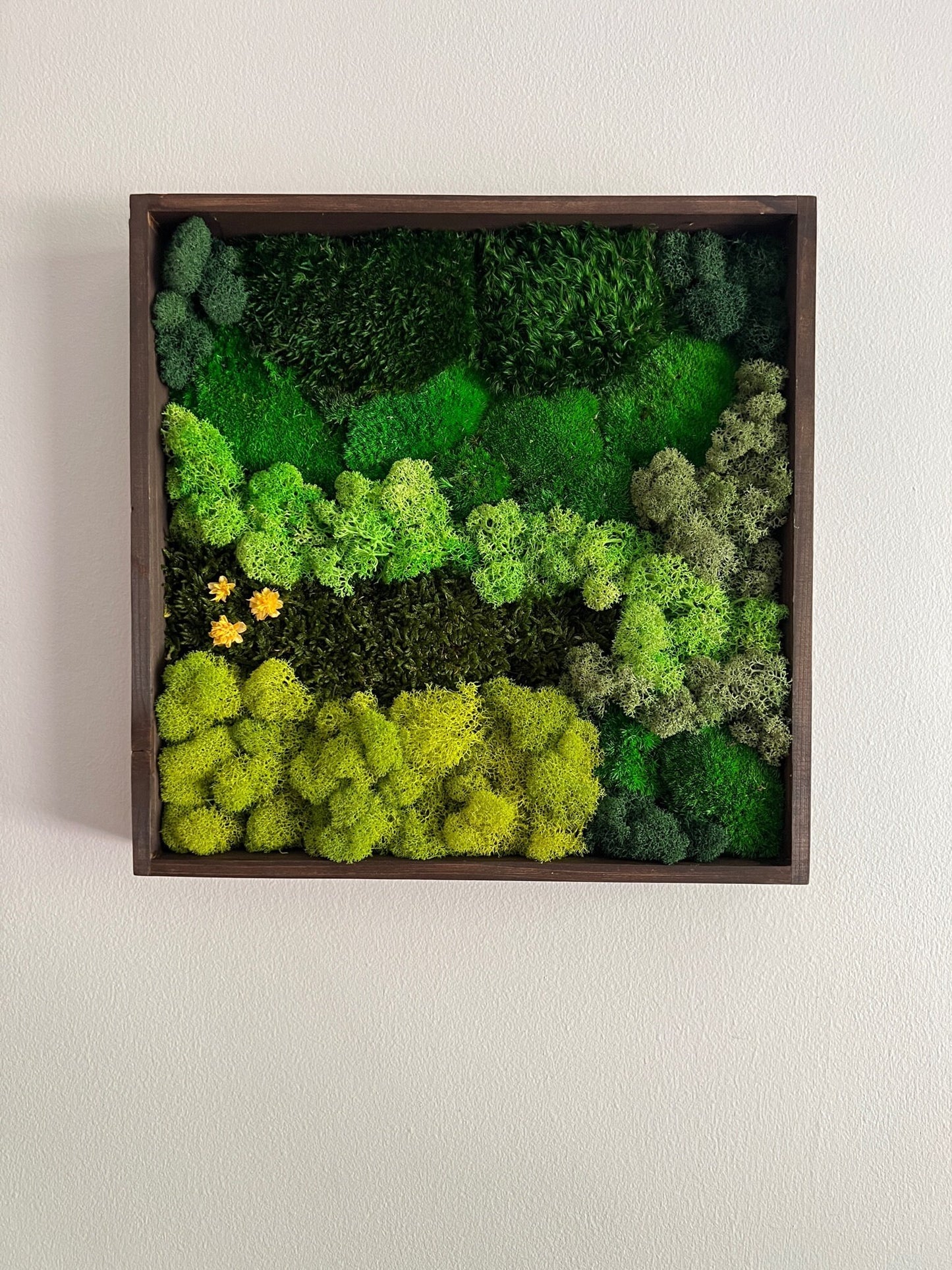 Preserved Moss Wall Art: Square Wood Frame, Reindeer Moss Decor | USA - TARIFF FREE