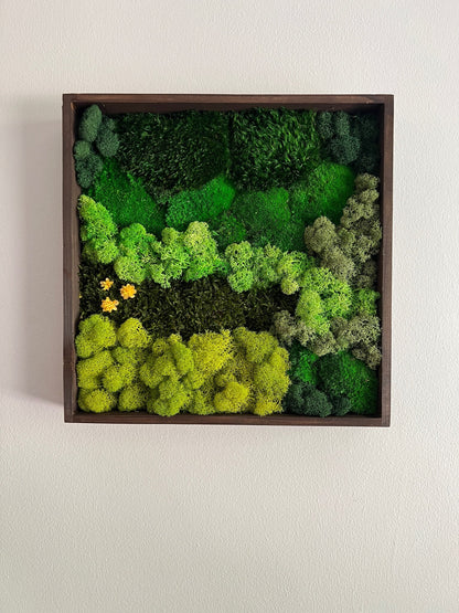 Preserved Moss Wall Art: Square Wood Frame, Reindeer Moss Decor | USA - TARIFF FREE