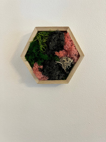 Honeycomb Preserved Reindeer Moss Wall Art | Wood Hexagon Trio