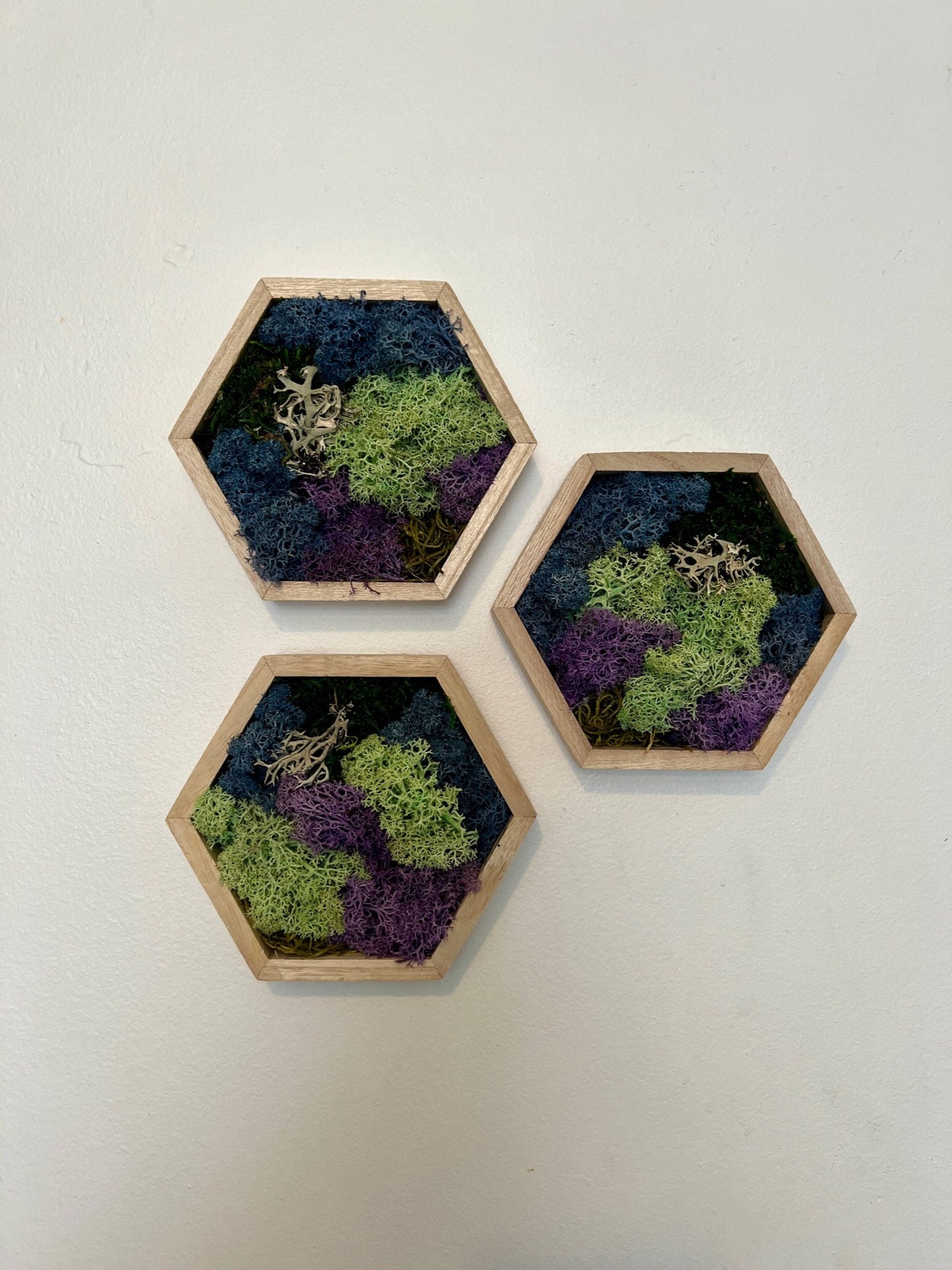 Honeycomb Preserved Moss Wall Art | Blue, Green & Purple Decor