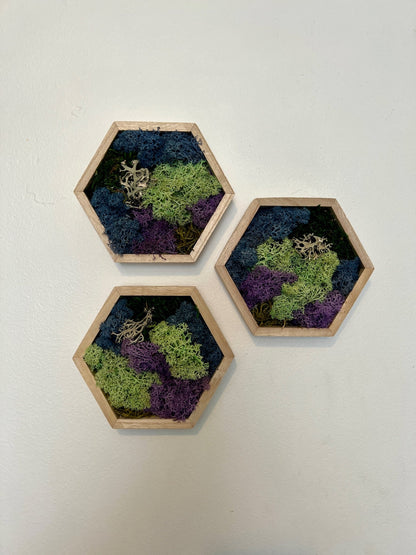 Honeycomb Preserved Moss Wall Art | Blue, Green & Purple Decor