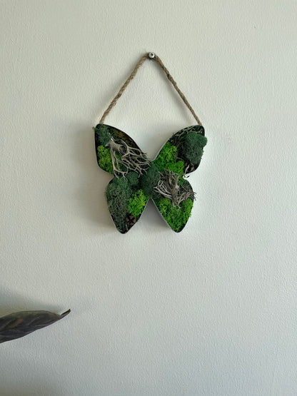 Butterfly Moss Wall Art: Preserved Reindeer Moss Decor | USA - TARIFF FREE