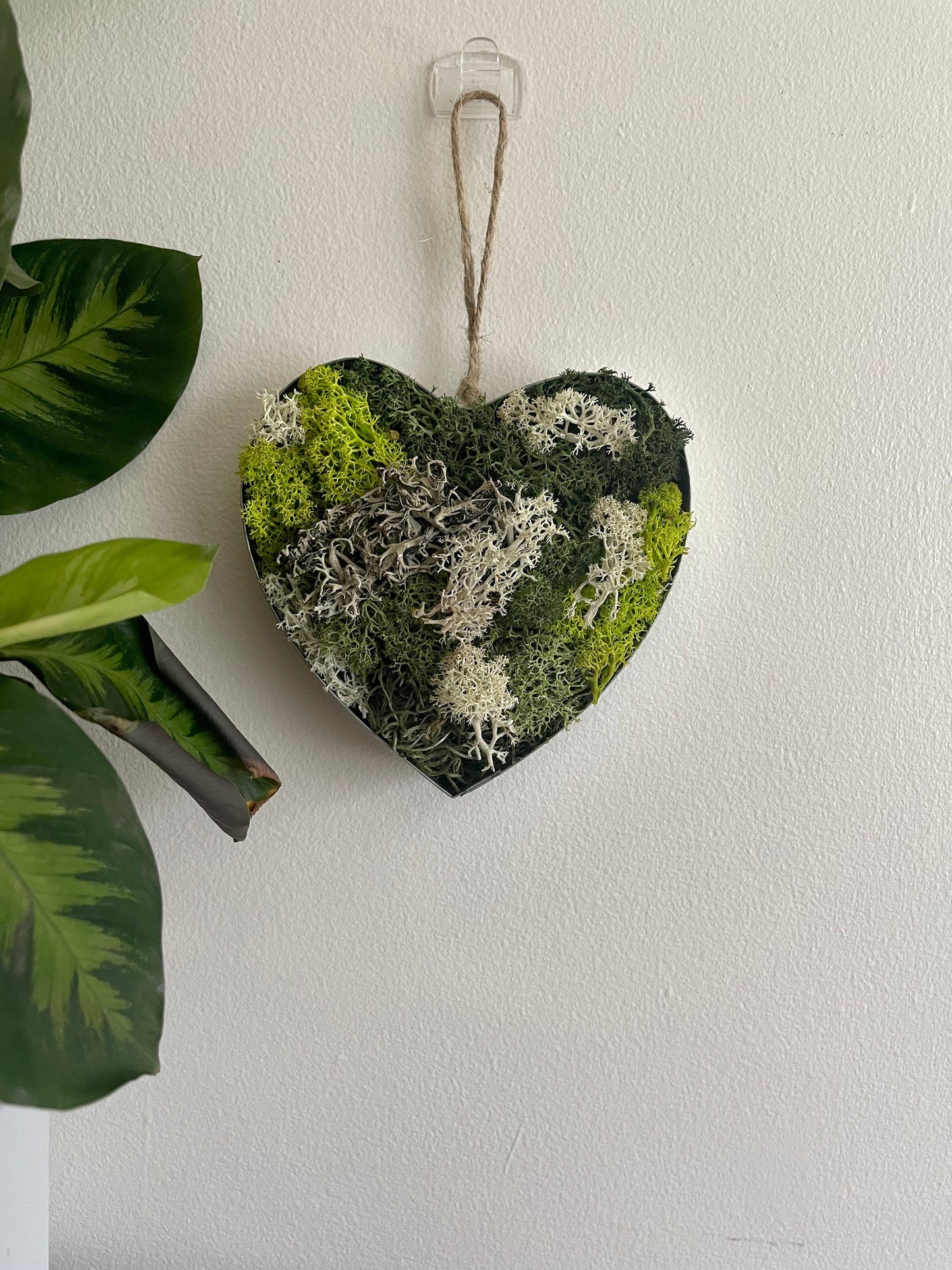 Heart Moss  | Wall Art  |  Home  Decor  | Metal Heart  | Green | USA - TARIFF FREE