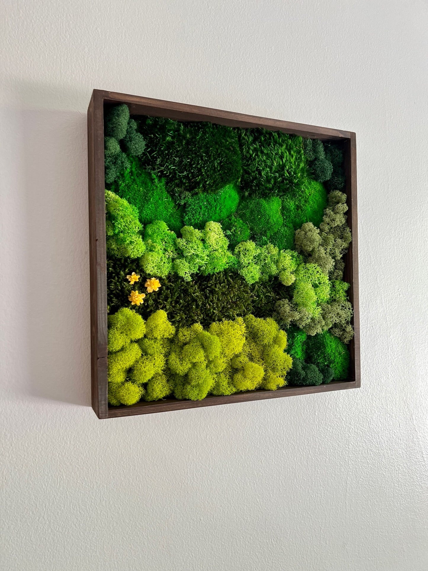 Moss Wall Art | Preserved Moss Framed | Moss Wall Decor | Square Frame | Preserved Mood Moss, Pole Moss, Sheet Moss and Reindeer Moss | Gift