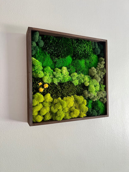 Moss Wall Art | Preserved Moss Framed | Moss Wall Decor | Square Frame | Preserved Mood Moss, Pole Moss, Sheet Moss and Reindeer Moss | Gift