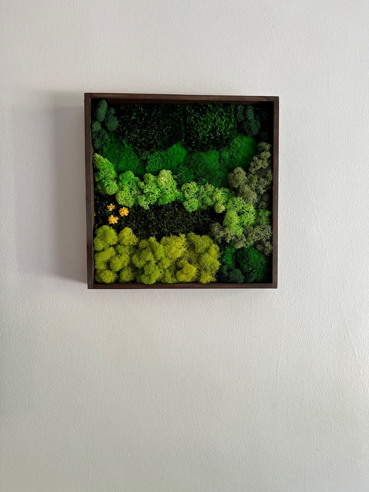 Preserved Moss Wall Art: Square Wood Frame, Reindeer Moss Decor | USA - TARIFF FREE