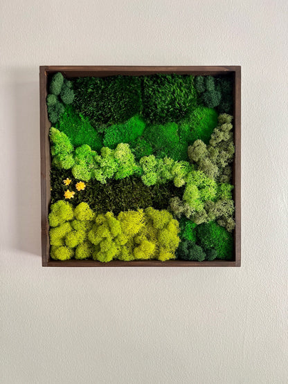 Preserved Moss Wall Art: Square Wood Frame, Reindeer Moss Decor | USA - TARIFF FREE