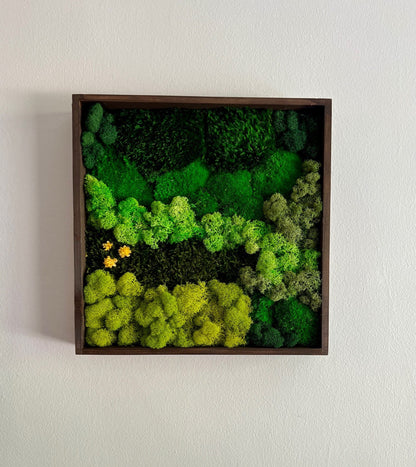 Moss Wall Art | Preserved Moss Framed | Moss Wall Decor | Square Frame | Preserved Mood Moss, Pole Moss, Sheet Moss and Reindeer Moss | Gift
