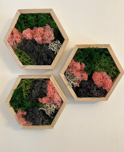 Moss Wall Art  | Honeycomb Moss   |  Home  Decor  | Wood Hexagon  | Pink Green and Black