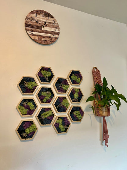 Moss Wall Art  | Honeycomb Moss   |  Home  Decor  | Wood Hexagon  | Blue Green and Purple
