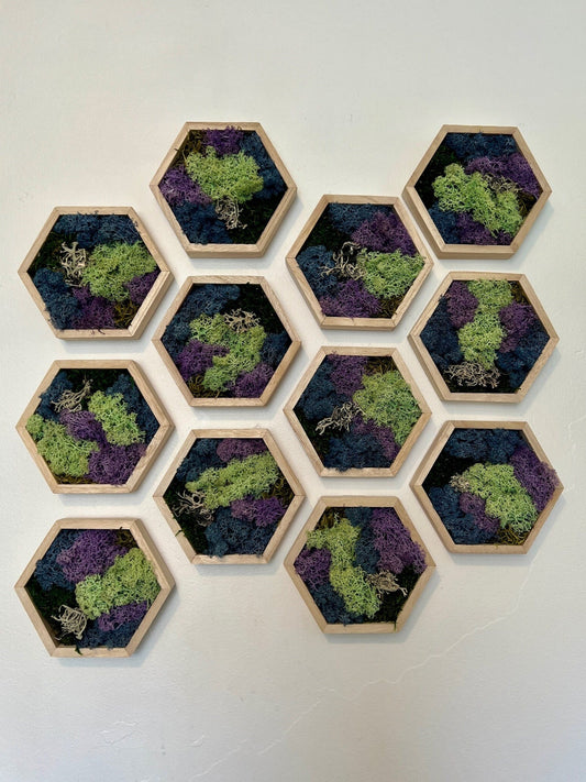 Moss Wall Art  | Honeycomb Moss   |  Home  Decor  | Wood Hexagon  | Blue Green and Purple