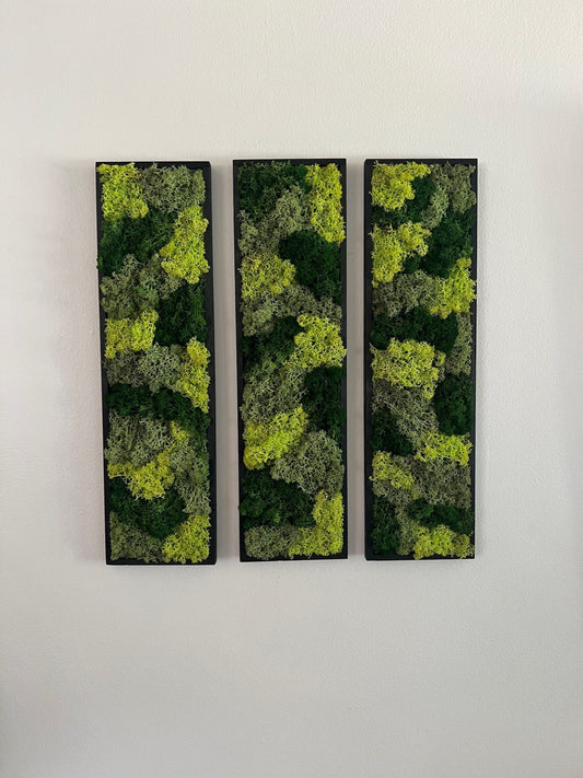 Moss Wall Art | Moss Wall Decor  | Preserved Moss Art Framed | Moss Wall Sets  | Rectangle Single - Set of Six | Green Reindeer Moss | Decor