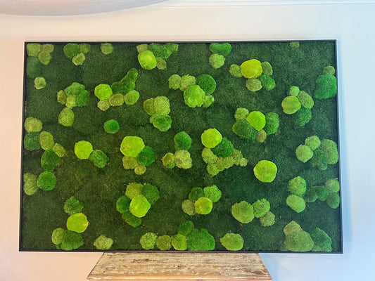 Moss Wall Art | Preserved Moss Framed | Large Moss Wall Decor | Pole and Sheet Moss | Only Available for delivery - TORONTO AND GTA