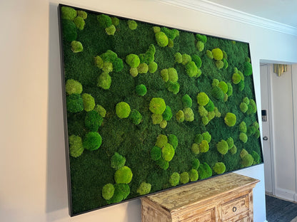 Moss Wall Art | Preserved Moss Framed | Large Moss Wall Decor | Pole and Sheet Moss | Only Available for delivery - TORONTO AND GTA