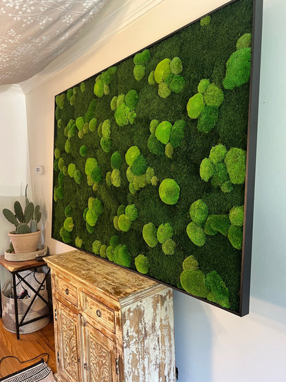 Preserved Reindeer Moss Wall Art: Framed Natural Home Decor | USA - TARIFF FREE
