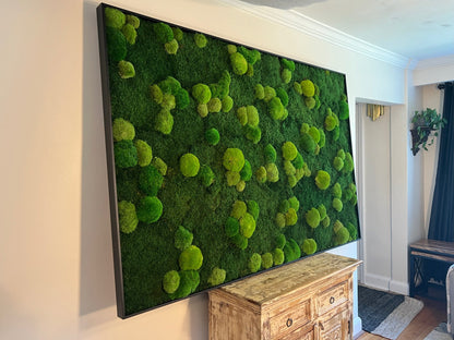 Preserved Reindeer Moss Wall Art: Framed Natural Home Decor | USA - TARIFF FREE
