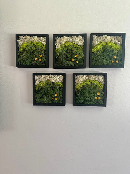 Moss Wall Art | Preserved Moss Art Framed | Square Wood Shadowbox | Set of One to Six | Green Yellow and White Reindeer Moss