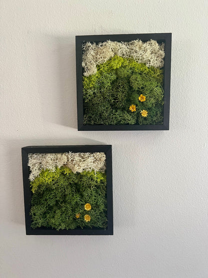 Preserved Reindeer Moss Wall Art: Square Wood Shadowbox Set | USA - TARIFF FREE