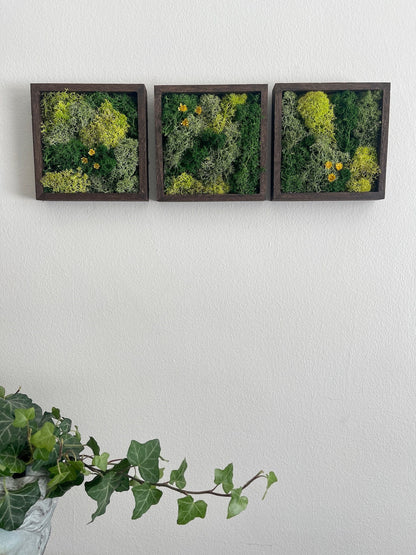 Preserved Reindeer Moss Wall Art: Wood Frame, Green Decor | USA - TARIFF FREE