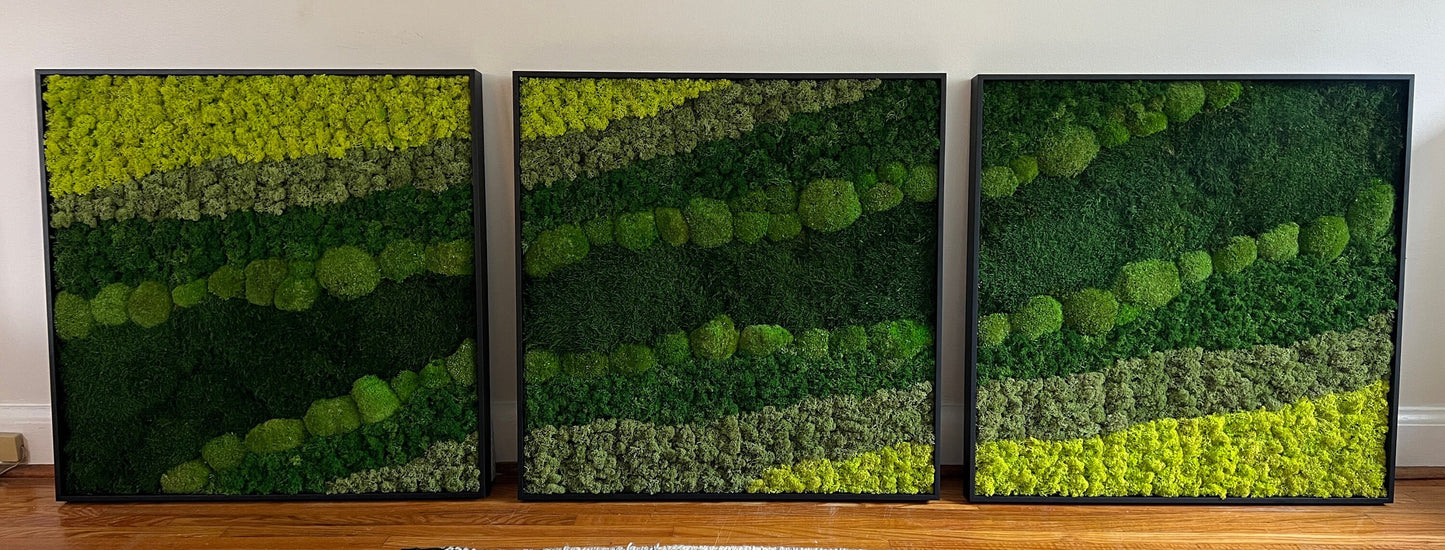 Moss Wall Art | Preserved Moss Framed | Large Moss Wall Decor | Pole, Sheet & Reindeer Moss |
