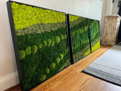 Large Preserved Moss Wall Art: Reindeer, Sheet & Pole Moss | USA - TARIFF FREE