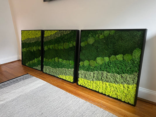 Moss Wall Art | Preserved Moss Framed | Large Moss Wall Decor | Pole, Sheet & Reindeer Moss |