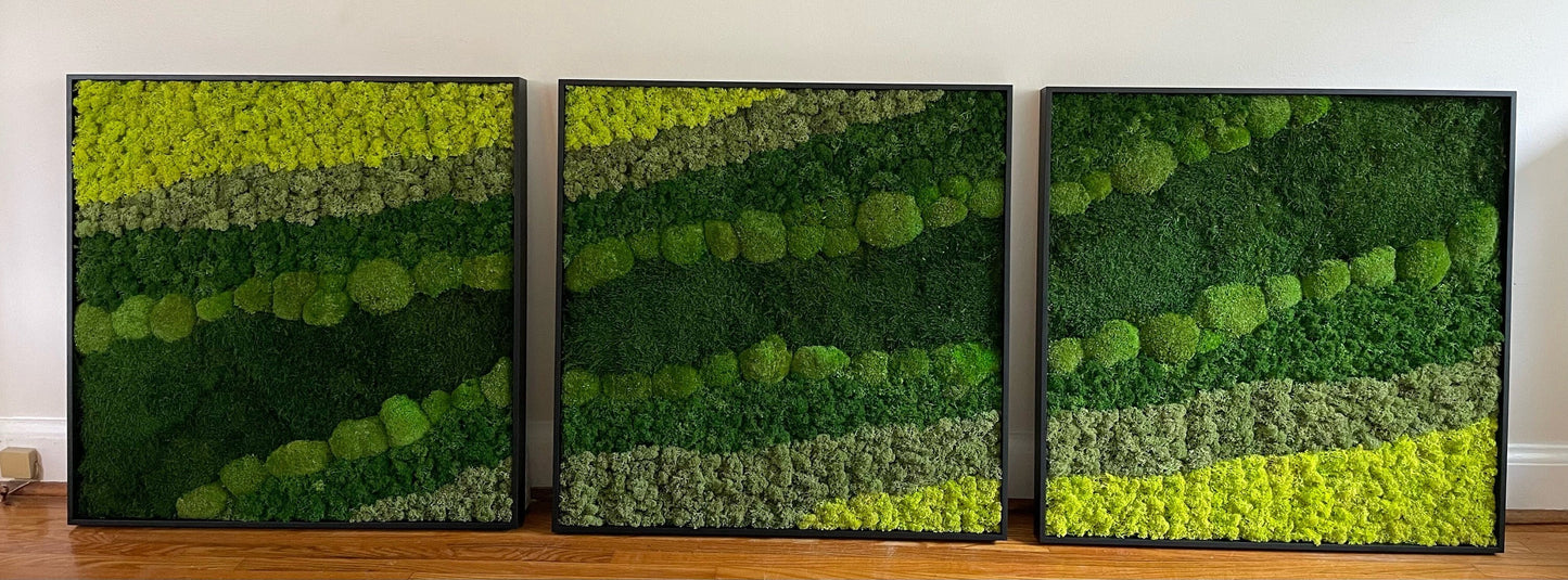 Moss Wall Art | Preserved Moss Framed | Large Moss Wall Decor | Pole, Sheet & Reindeer Moss |